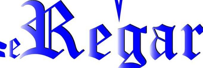 leregard-tchad.com